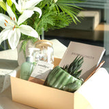 Rise & Bloom Hamper