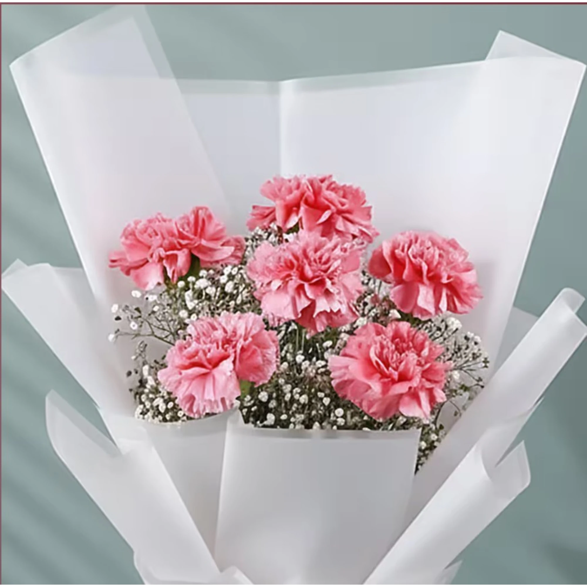 Pink carnations flower bouquet with white baby's breath wrapped in white paper