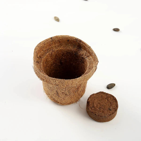 Brown Round Coco Pot