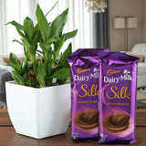 Bamboo Plant Bliss with Chocolate Sweetness
