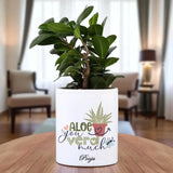 Personalised Ficus Compacta with Unique Touch