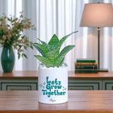 Lets Grow Together Personalised Sanseveria Snake Plant