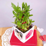 Love U Mom Personalized Bamboo Plant