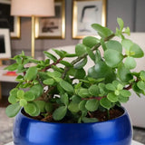 Jade Love With Fathers Day Magnet