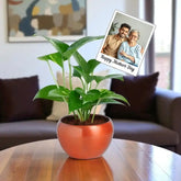Personalised Magnet Money Plant Set
