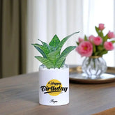 Personalised Birthday Special Sanseveria Snake Plant