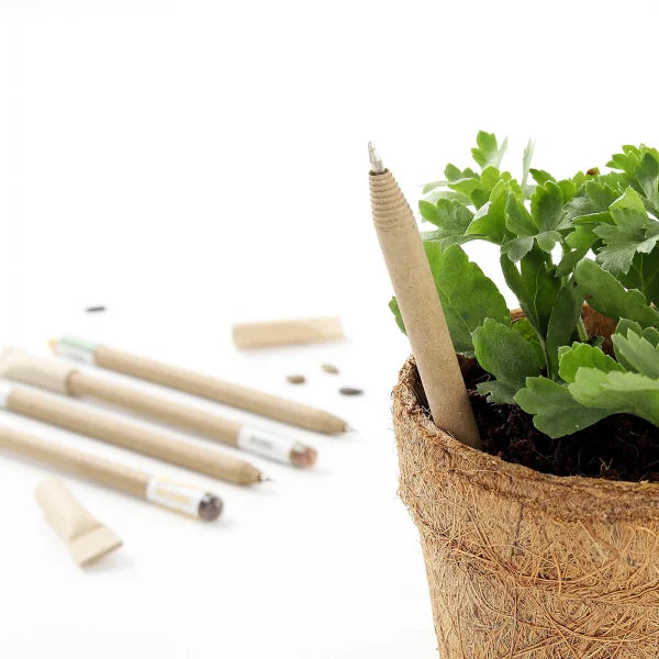 Plantable Everyday Stationery Box
