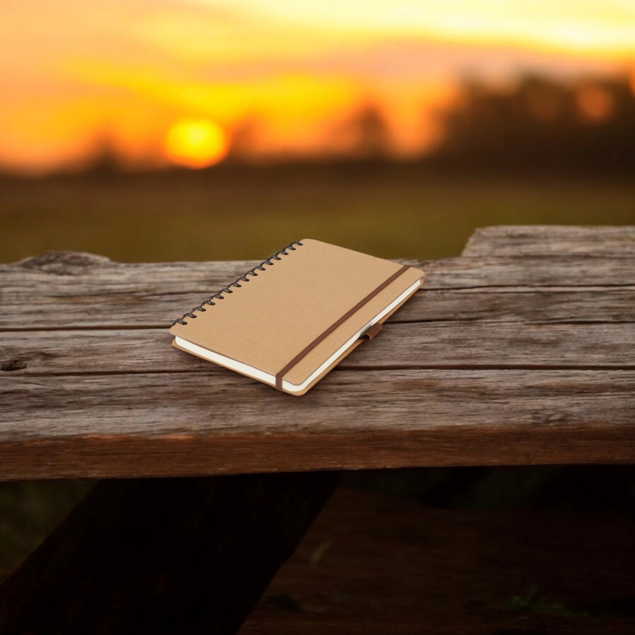 Secretariat Notebook