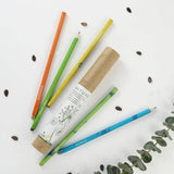 The Eco-friendly Stationery Kit