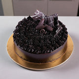 Chocolate Truffle Cake with Money Plant