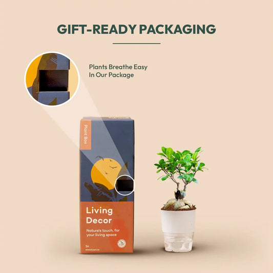 Business Gifts – Strengthen Professional Relationships