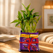 Exquisite 2 Layer Bamboo with 8 Chocolates