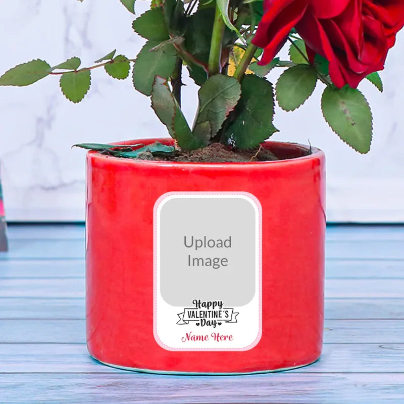Loveable Roses - Personalized Rose Plant Delivery in a medium red ceramic pot with custom image and name option, ideal for Valentine's Day gifting.
