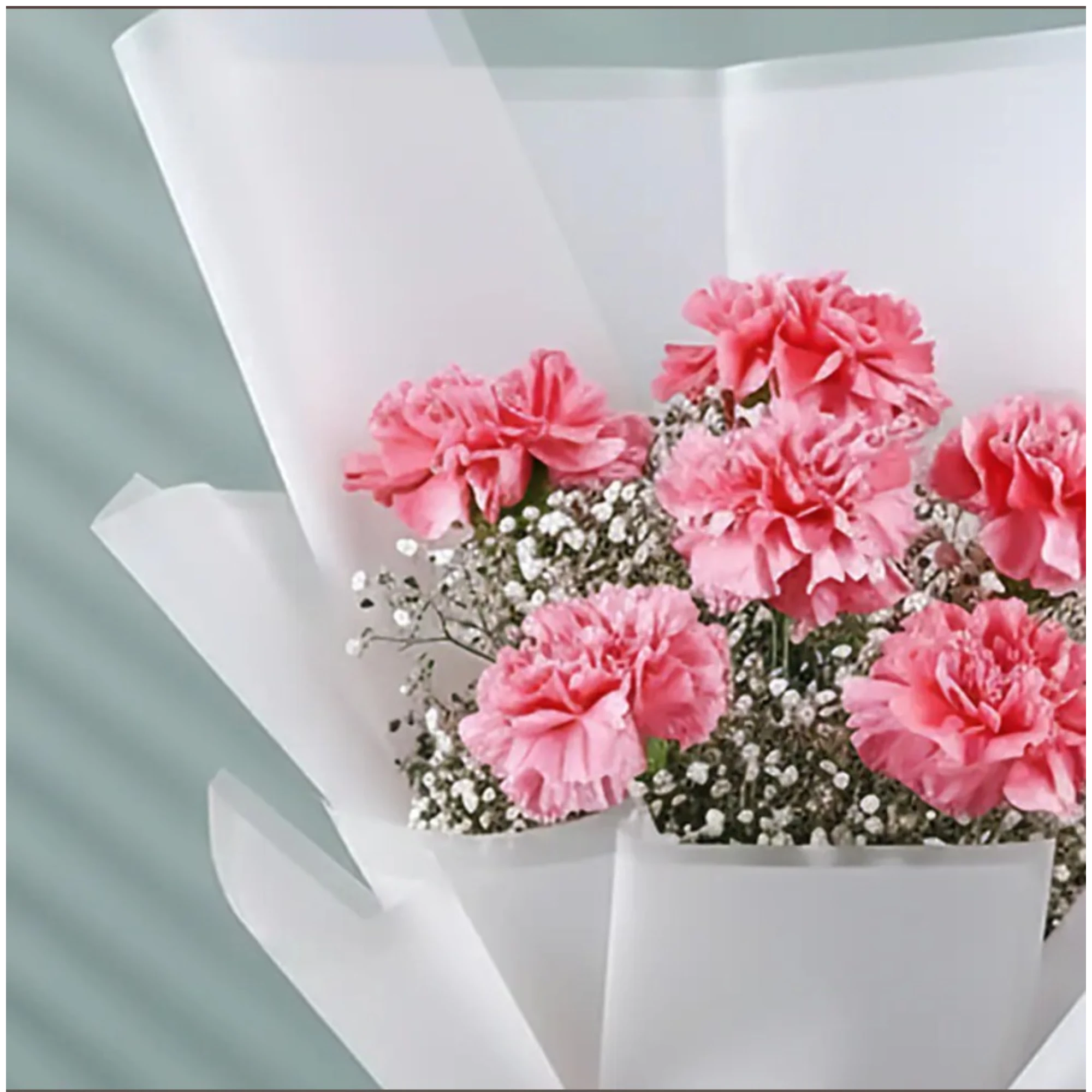 Pink carnations flower bouquet with white baby's breath wrapped in white paper