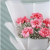 Pink carnations flower bouquet with white baby's breath wrapped in white paper