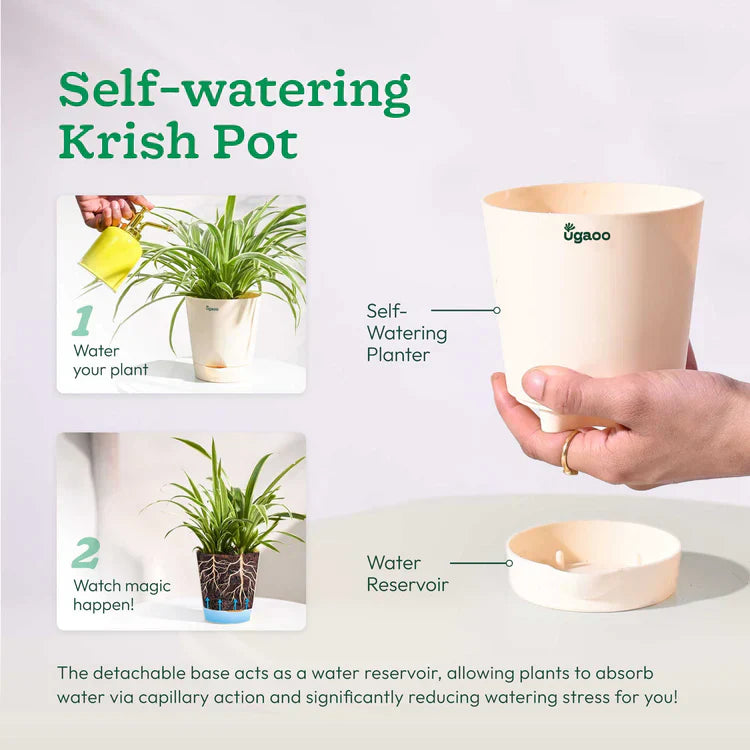 Ugaoo self-watering planter