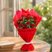 Blooming Insight Red Roses