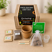 Little Garden DIY Kit