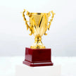 Champion's Cup Victory Trophy