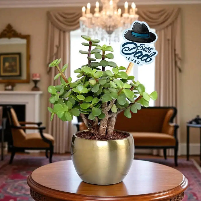 Best Dad Ever Lucky Jade Plant