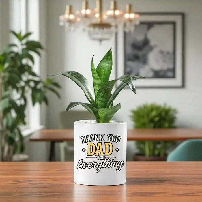 Sansaveria Plant With Dad for Everything Pot
