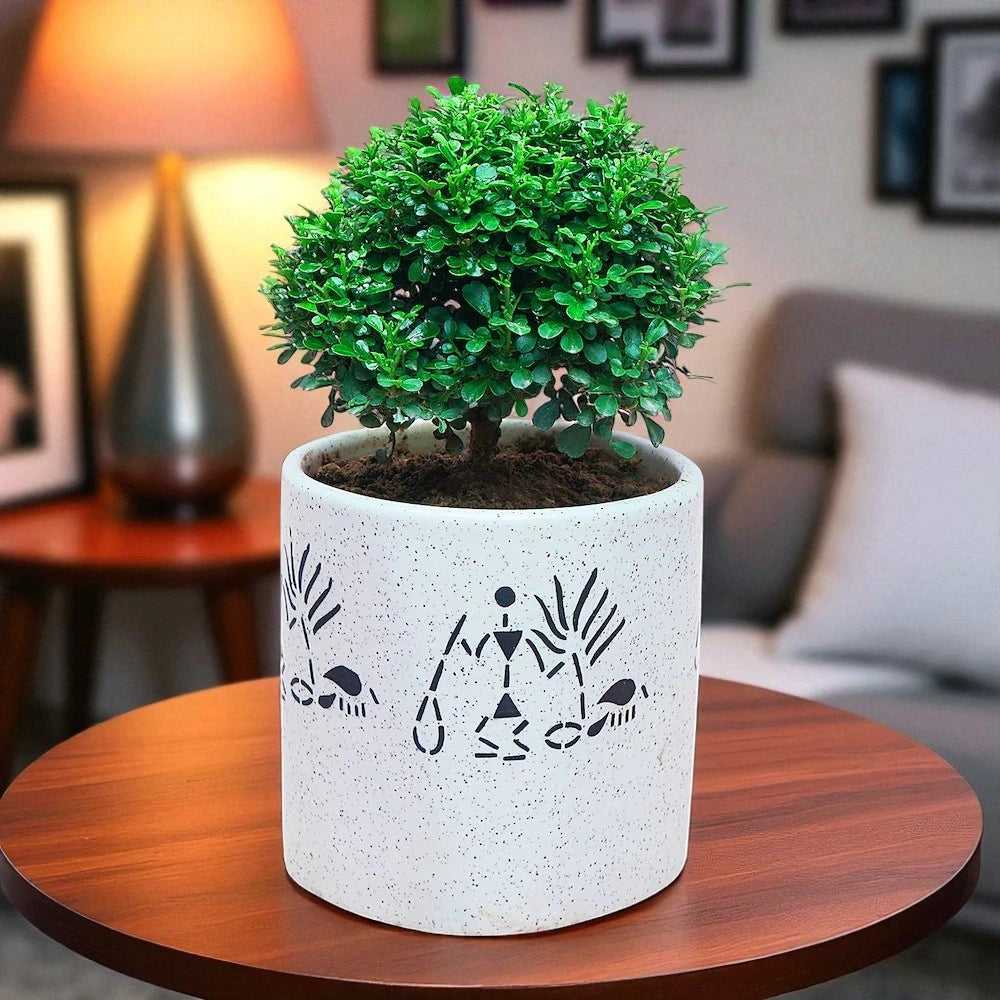 White Potted Table Kamini