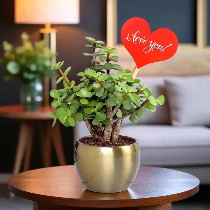 Wishful Jade in Gold Pot