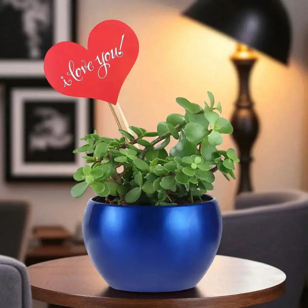 I Love You Jade Valentine Day Gift