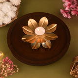 Lotus Glow Delight Hamper