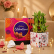 Love Bamboo With Cadbury Combo