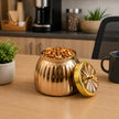 Metal Dry Fruit Container with Copper Layer – 450 ML