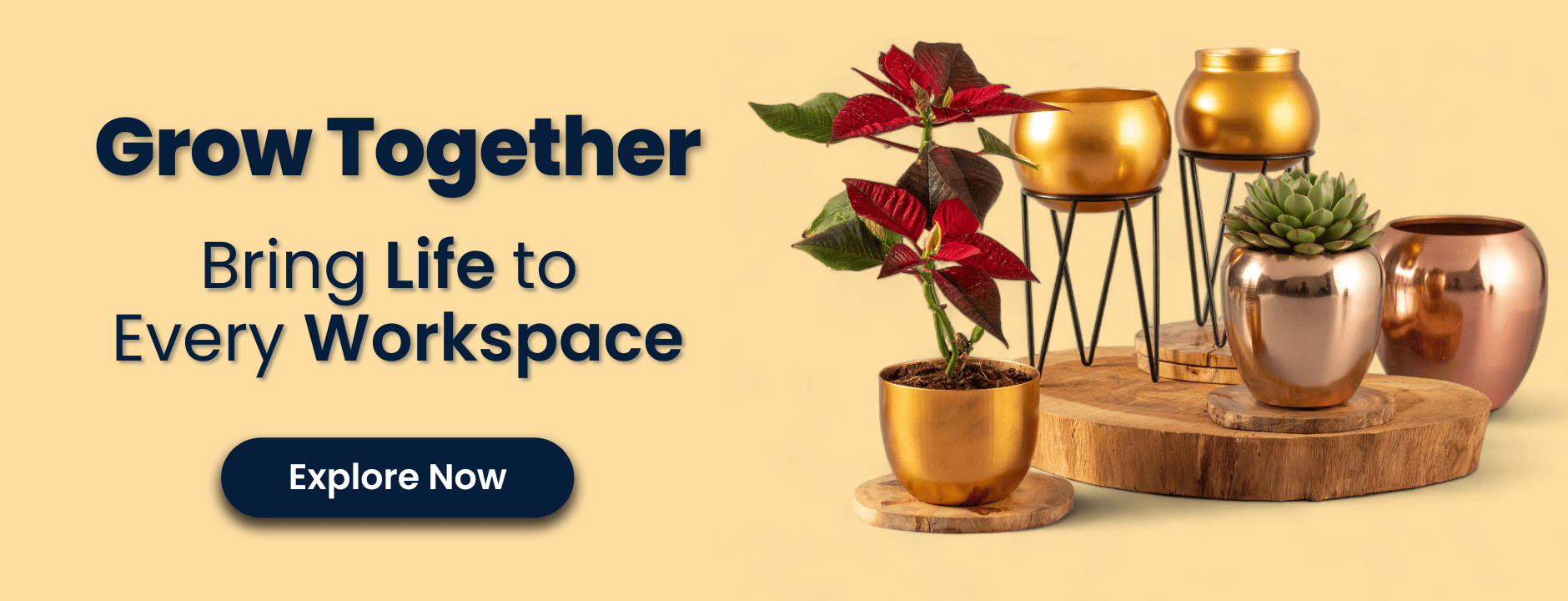 Plants Corporate gifts