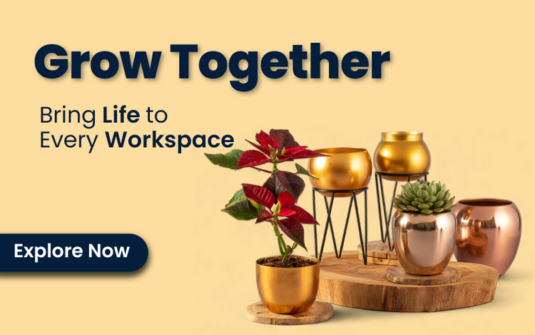 Plants online Corporate gifts