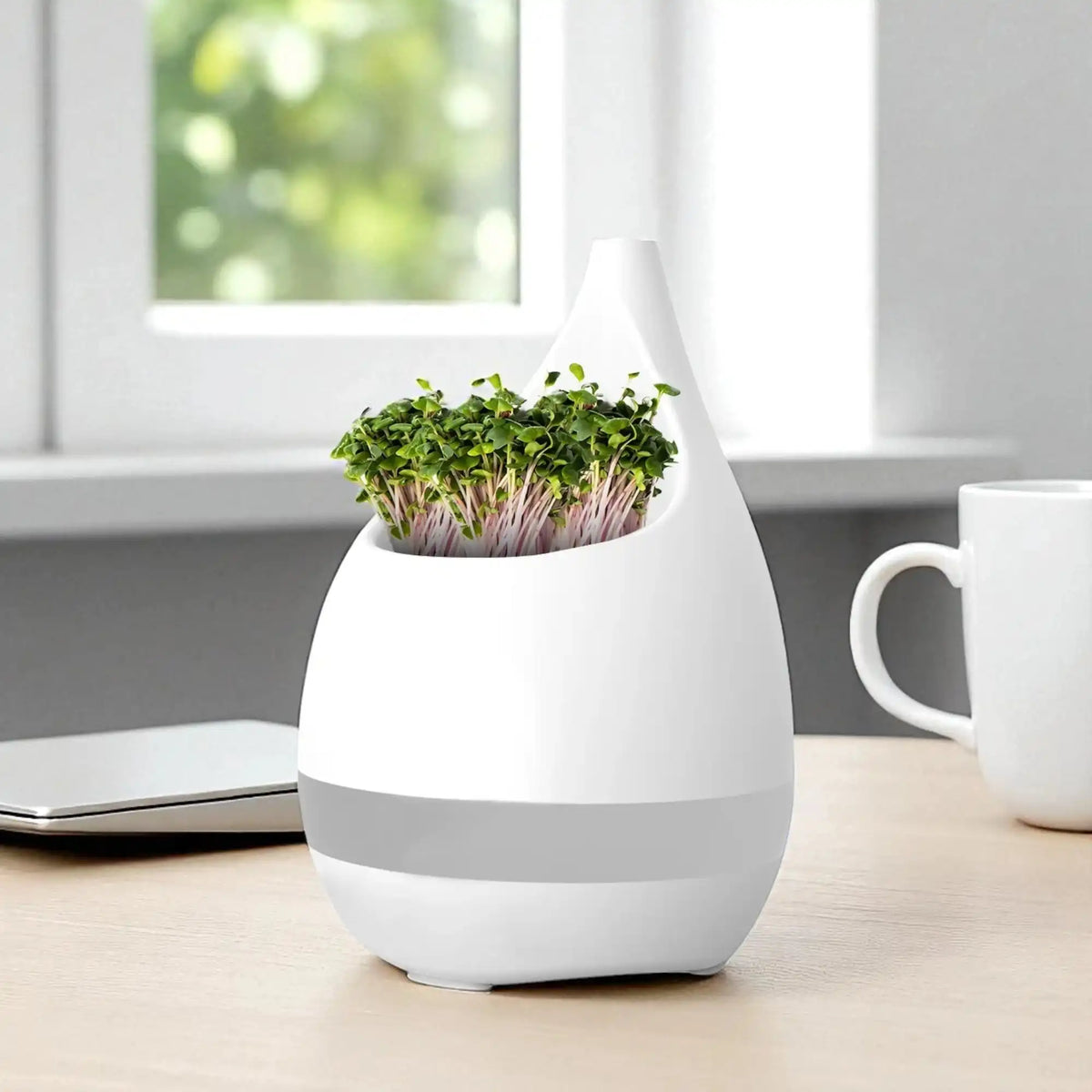 Sprout Botanical Planter & Pen Stand