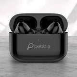 Pebble Echo Buds PTWE101 PFB39