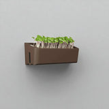 Wall-mounted planter with green plants on a gray background